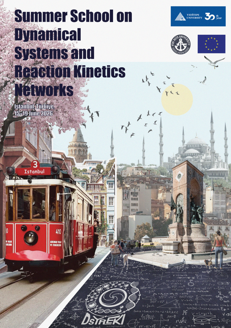 Summer School on Dynamical Systems and Reaction Kinetics Networks